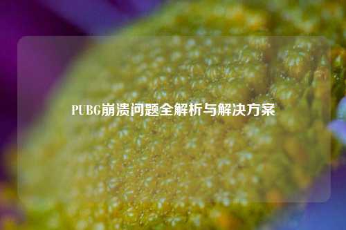 PUBG崩溃问题全解析与解决方案