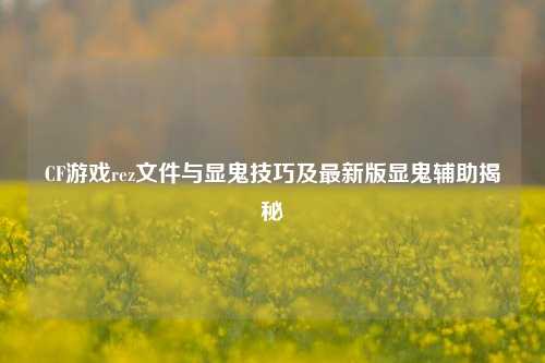 CF游戏rez文件与显鬼技巧及最新版显鬼辅助揭秘