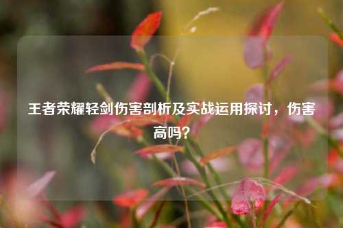 王者荣耀轻剑伤害剖析及实战运用探讨,伤害高吗?
