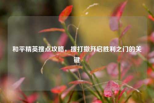 和平精英搜点攻略,搜打撤开启胜利之门的关键