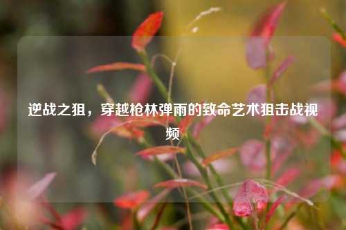 逆战之狙，穿越枪林弹雨的致命艺术狙击战视频