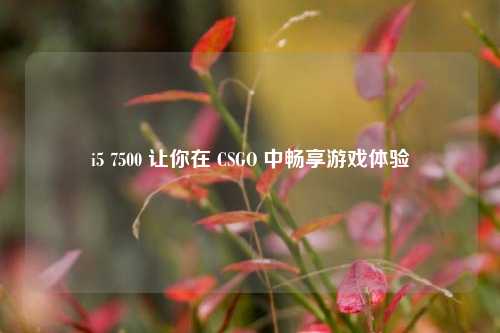 i5 7500 让你在 CSGO 中畅享游戏体验