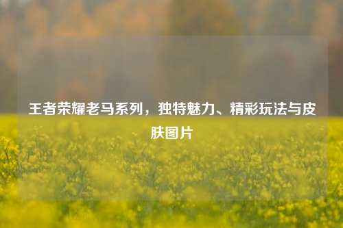 王者荣耀老马系列,独特魅力、精彩玩法与皮肤图片