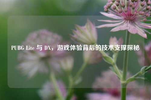 PUBG Lite 与 DX,游戏体验背后的技术支撑探秘