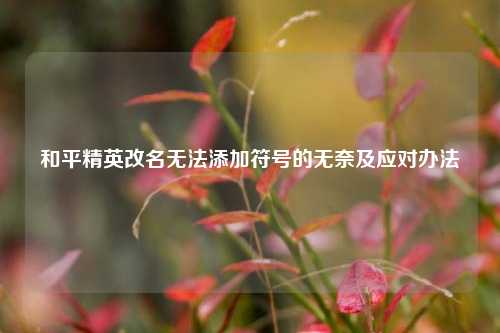 和平精英改名无法添加符号的无奈及应对办法