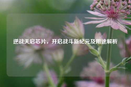 逆战天启芯片,开启战斗新纪元及用途解析