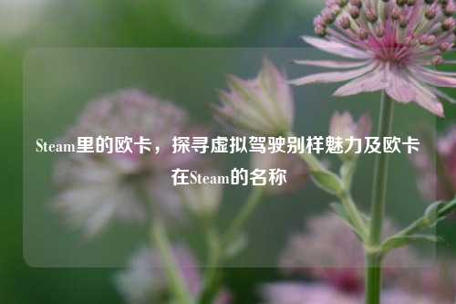 Steam里的欧卡,探寻虚拟驾驶别样魅力及欧卡在Steam的名称