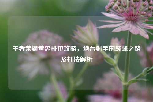 王者荣耀黄忠排位攻略,炮台射手的巅峰之路及打法解析