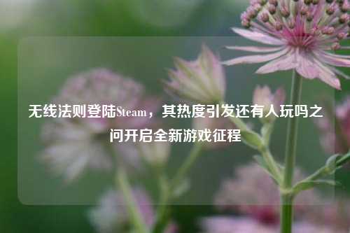 无线法则登陆Steam,其热度引发还有人玩吗之问开启全新游戏征程