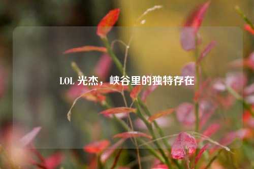 LOL 光杰，峡谷里的独特存在