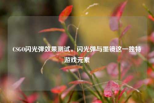 CSGO闪光弹效果测试,闪光弹与墨镜这一独特游戏元素