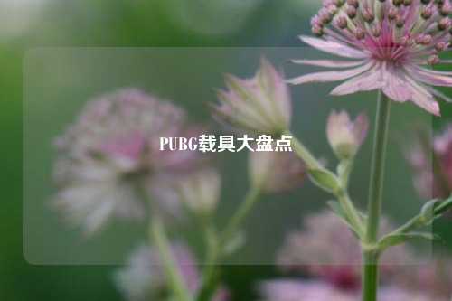 PUBG载具大盘点