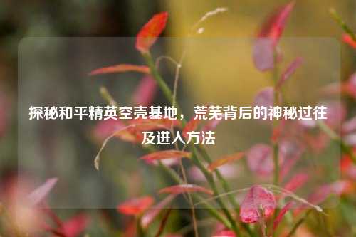 探秘和平精英空壳基地,荒芜背后的神秘过往及进入方法