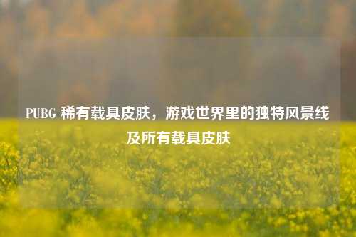 PUBG 稀有载具皮肤,游戏世界里的独特风景线及所有载具皮肤