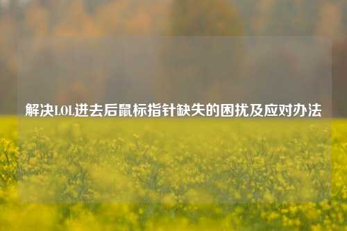 解决LOL进去后鼠标指针缺失的困扰及应对办法