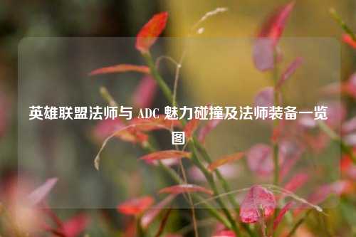 英雄联盟法师与 ADC 魅力碰撞及法师装备一览图