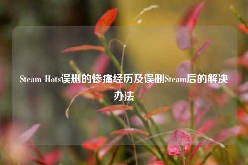 Steam Hots误删的惨痛经历及误删Steam后的解决办法
