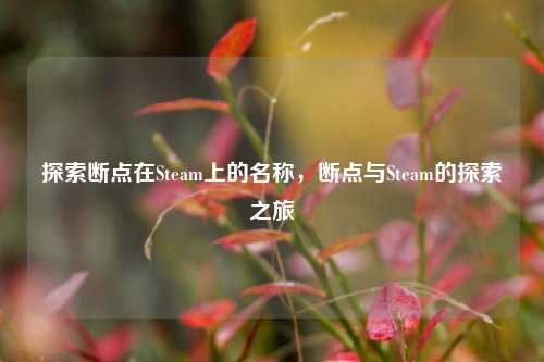 探索断点在Steam上的名称，断点与Steam的探索之旅
