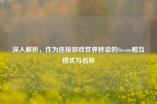 深入解析,作为连接游戏世界桥梁的Steam相互格式与名称