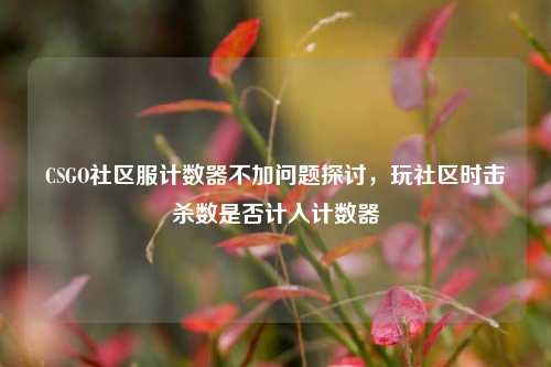 CSGO社区服计数器不加问题探讨,玩社区时击杀数是否计入计数器