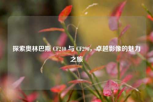 探索奥林巴斯 CF240 与 CF290,卓越影像的魅力之旅
