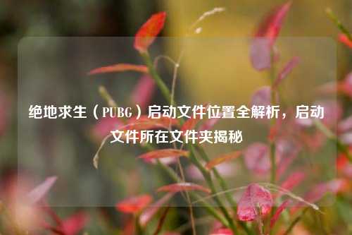 绝地求生（PUBG）启动文件位置全解析，启动文件所在文件夹揭秘