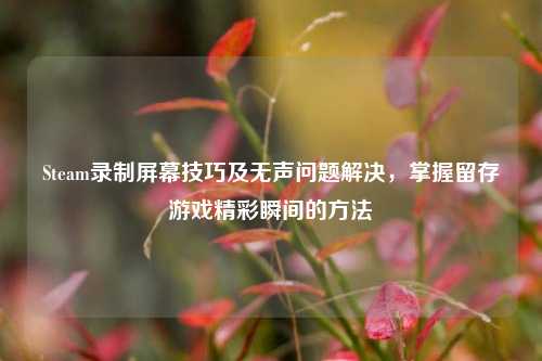 Steam录制屏幕技巧及无声问题解决,掌握留存游戏精彩瞬间的方法