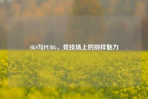 SKS与PUBG,竞技场上的别样魅力