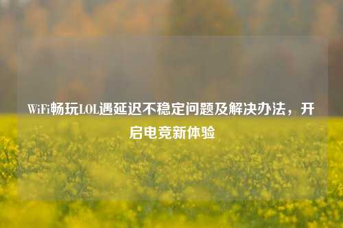 WiFi畅玩LOL遇延迟不稳定问题及解决办法,开启电竞新体验