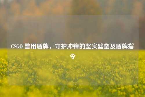 CSGO 警用盾牌,守护冲锋的坚实壁垒及盾牌指令