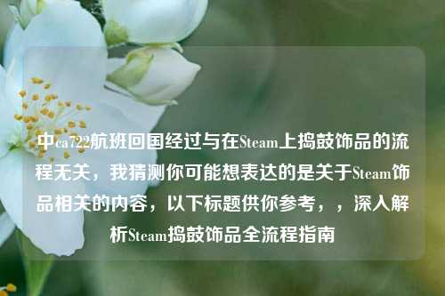 中ca722航班回国经过与在Steam上捣鼓饰品的流程无关,我猜测你可能想表达的是关于Steam饰品相关的内容,以下标题供你参考,,深入解析Steam捣鼓饰品全流程指南