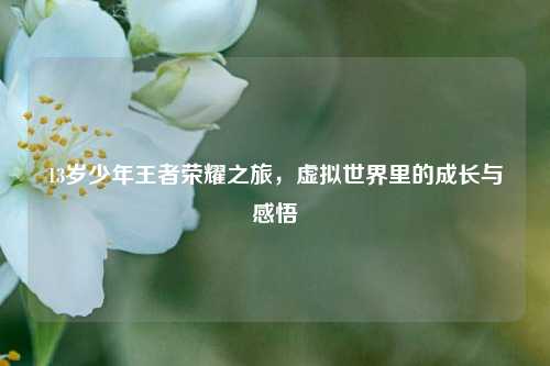 13岁少年王者荣耀之旅,虚拟世界里的成长与感悟