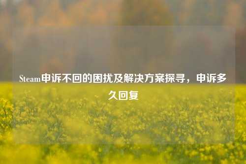 Steam申诉不回的困扰及解决方案探寻，申诉多久回复