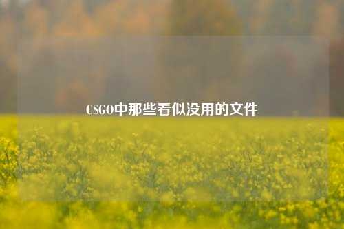 CSGO中那些看似没用的文件