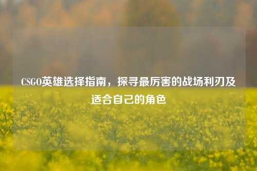 CSGO英雄选择指南,探寻最厉害的战场利刃及适合自己的角色