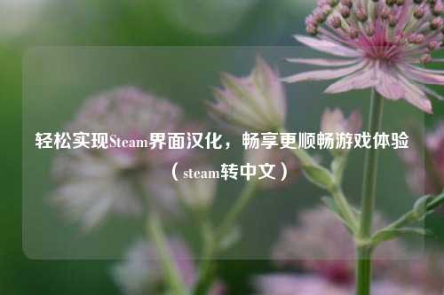 轻松实现Steam界面汉化,畅享更顺畅游戏体验(steam转中文)