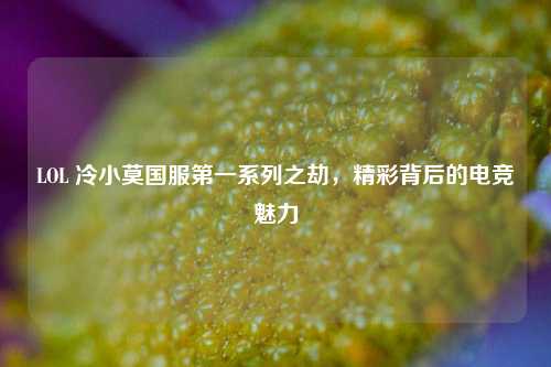 LOL 冷小莫国服第一系列之劫，精彩背后的电竞魅力