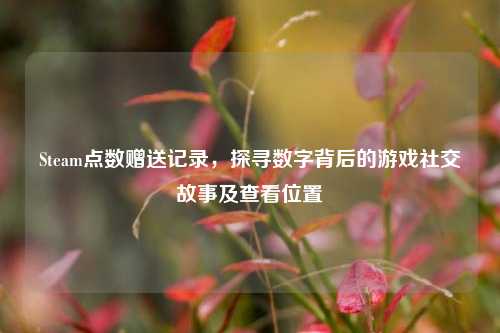 Steam点数赠送记录,探寻数字背后的游戏社交故事及查看位置