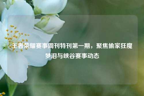 王者荣耀赛事周刊特刊第一期,聚焦偷家狂魔梦泪与峡谷赛事动态