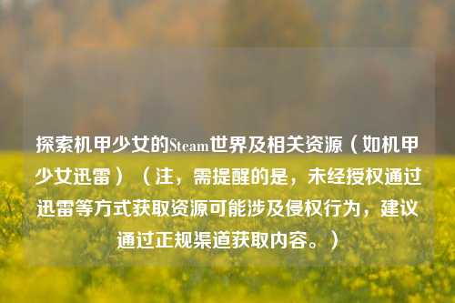 探索机甲少女的Steam世界及相关资源(如机甲少女迅雷) (注,需提醒的是,未经授权通过迅雷等方式获取资源可能涉及侵权行为,建议通过正规渠道获取内容。)