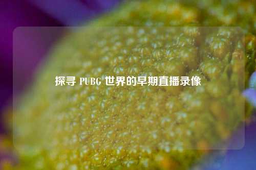 探寻 PUBG 世界的早期直播录像