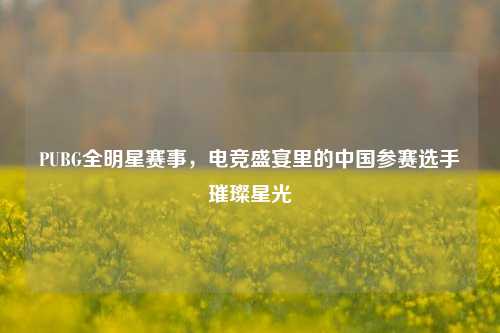 PUBG全明星赛事，电竞盛宴里的中国参赛选手璀璨星光