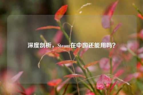 深度剖析,Steam在中国还能用吗?
