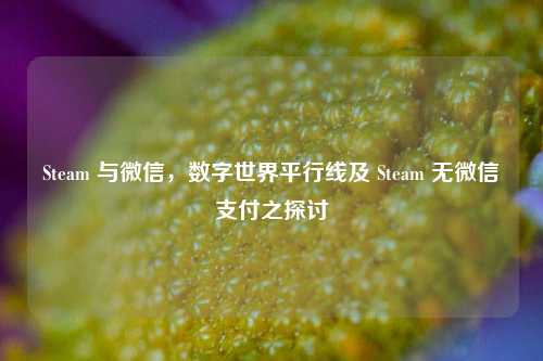 Steam 与微信,数字世界平行线及 Steam 无微信支付之探讨