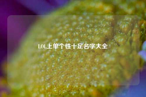 LOL上单个性十足名字大全