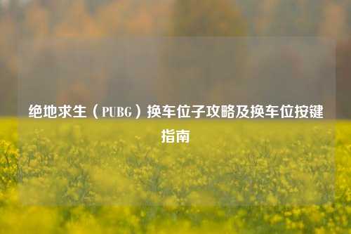 绝地求生(PUBG)换车位子攻略及换车位按键指南
