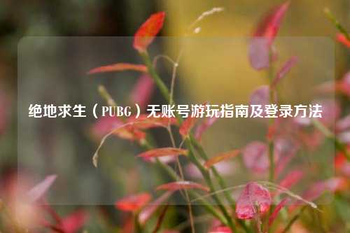 绝地求生(PUBG)无账号游玩指南及登录方法