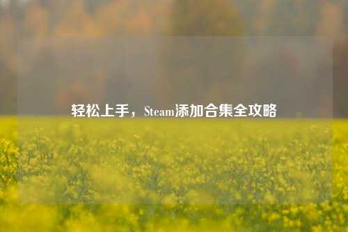 轻松上手，Steam添加合集全攻略