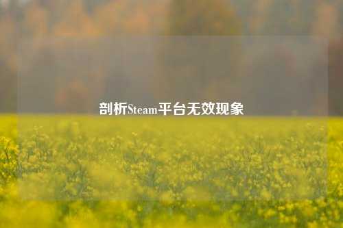 剖析Steam平台无效现象