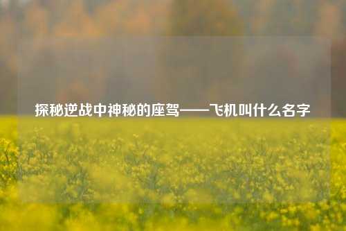 探秘逆战中神秘的座驾——飞机叫什么名字
